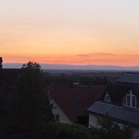Ferienwohnung Vogesenblick Mullheim  Bagian luar foto
