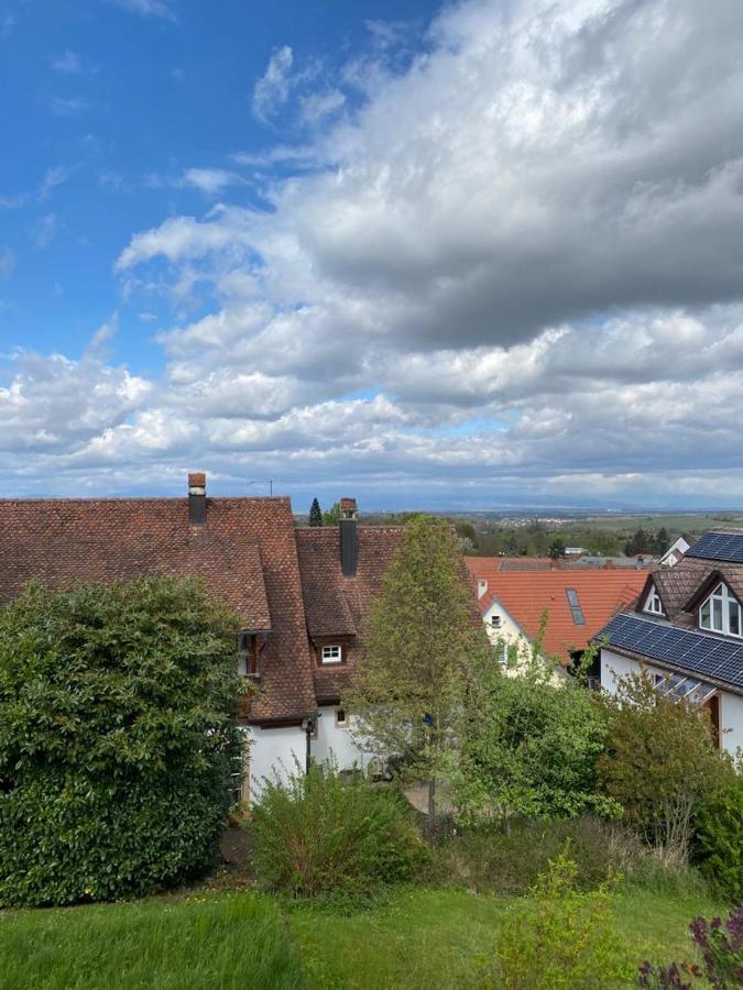 Ferienwohnung Vogesenblick Mullheim  Bagian luar foto