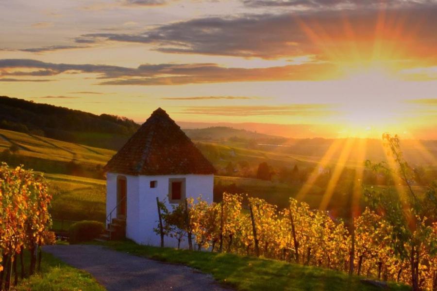 Ferienwohnung Vogesenblick Mullheim  Bagian luar foto